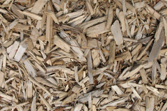 biomass boilers Eryrys